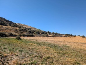 Vistas